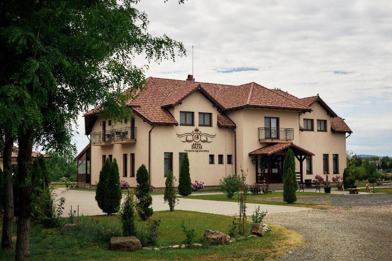 Pensiunea Brise Mediesu Aurit Buitenkant foto