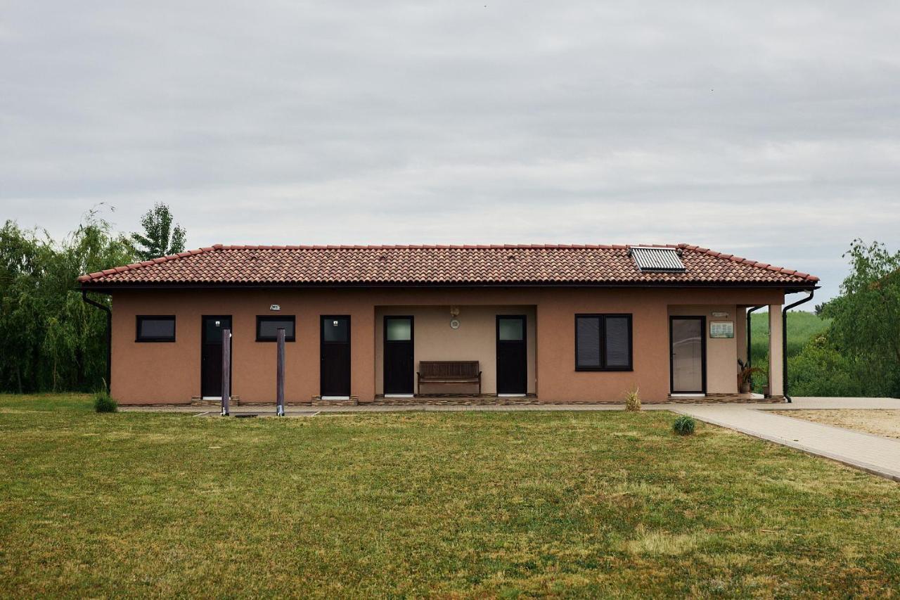 Pensiunea Brise Mediesu Aurit Buitenkant foto
