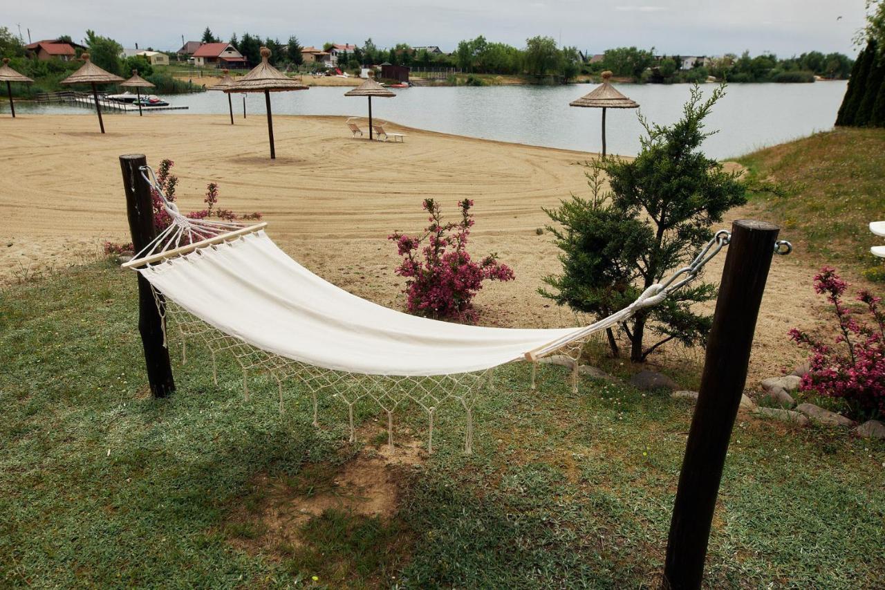 Pensiunea Brise Mediesu Aurit Buitenkant foto