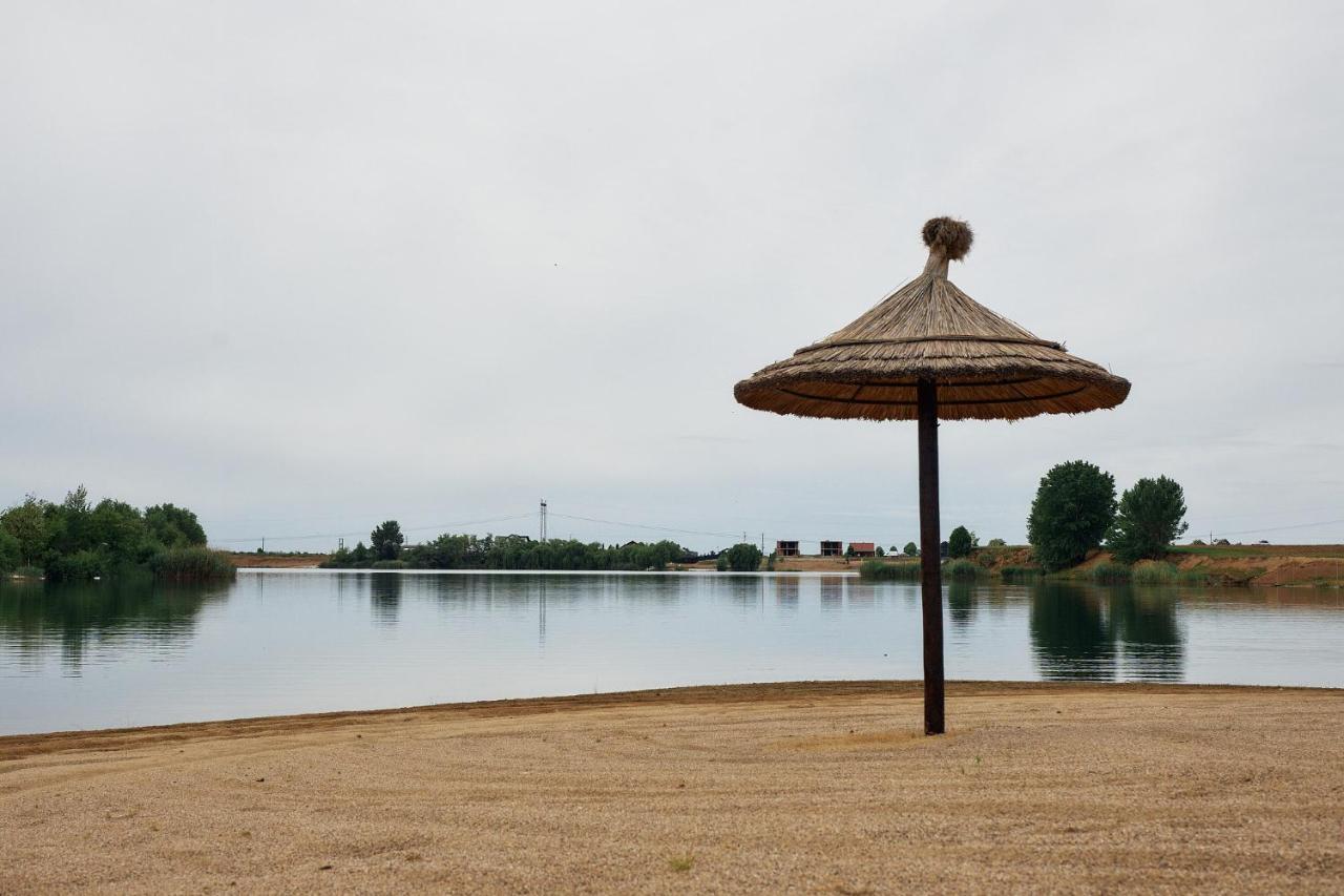 Pensiunea Brise Mediesu Aurit Buitenkant foto