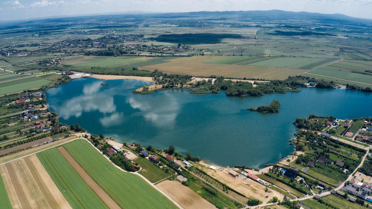 Pensiunea Brise Mediesu Aurit Buitenkant foto