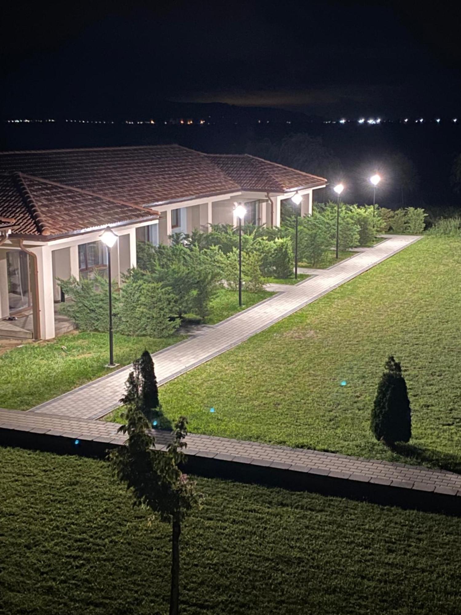 Pensiunea Brise Mediesu Aurit Buitenkant foto